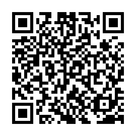 QR code for plate TKO 991
