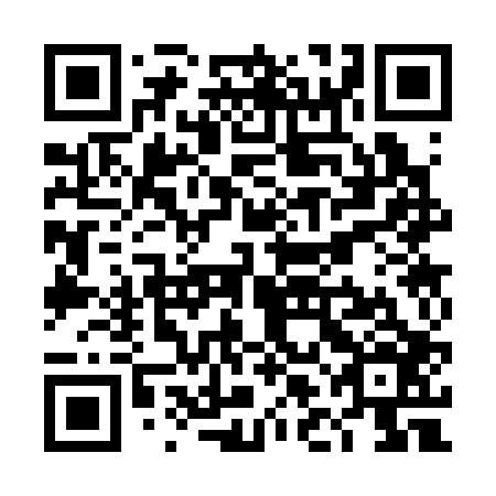QR code for plate TLC 306