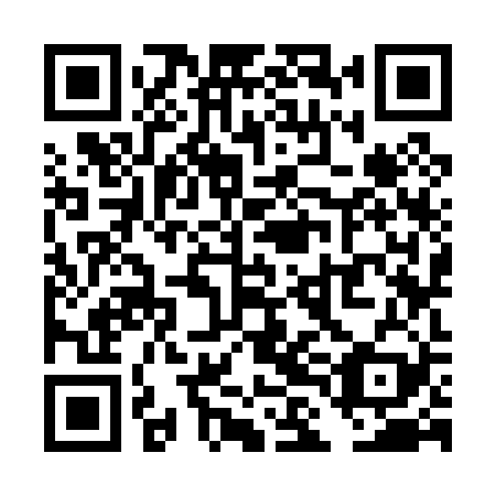 QR code for TLK029