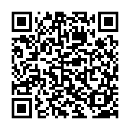QR code for plate TLM 341