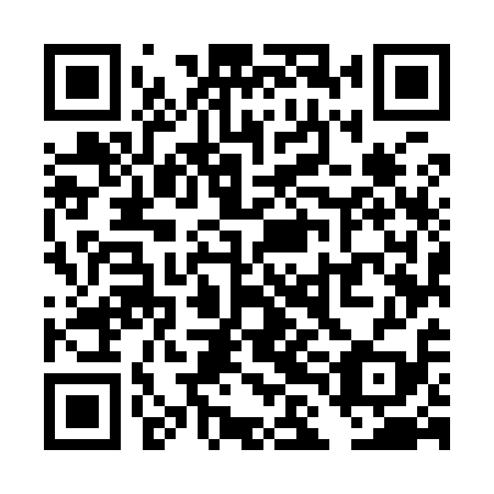 QR code for TLM919