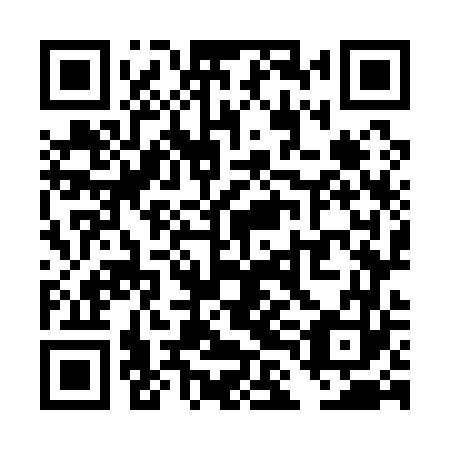 QR code for TLO 163