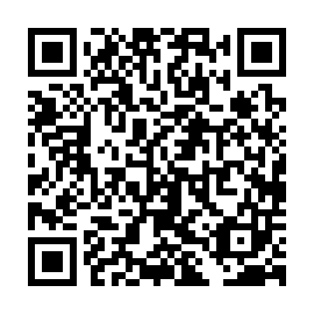 QR code for plate TLP 303