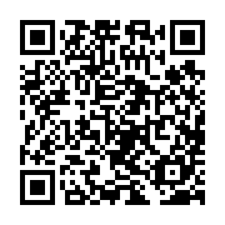 QR code for plate TLP 685