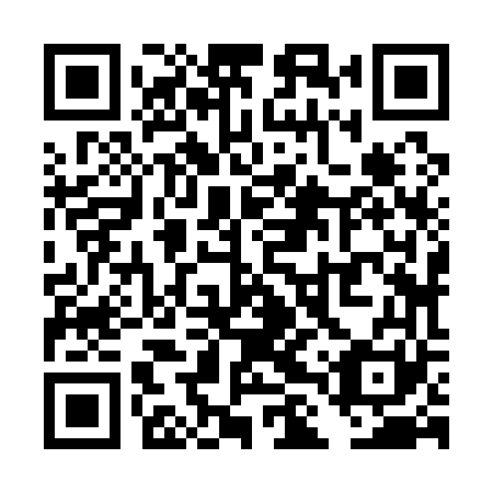 QR code for TLZ161