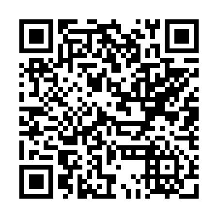 QR code for plate TMG 656