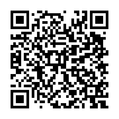 QR code for plate TMZ 411