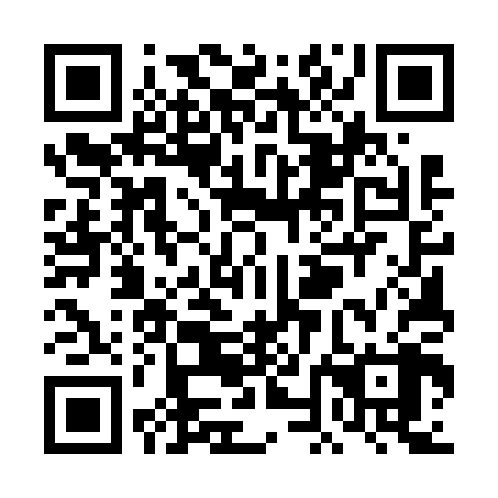 QR code for plate TNE 608