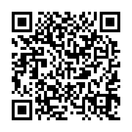 QR code for TNK 313