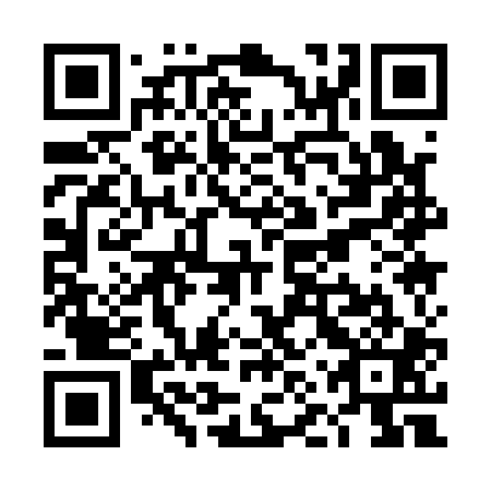 QR code for TNQ 101