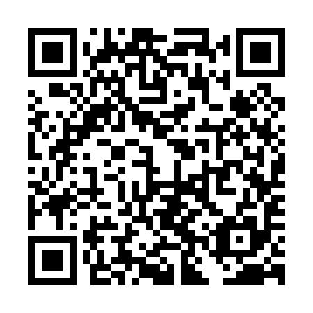 QR code for TNS 095