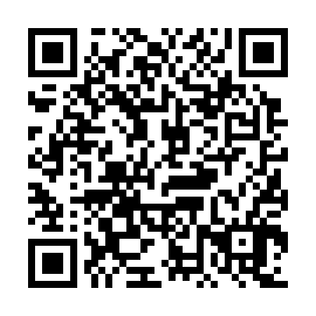 QR code for plate TNV 306