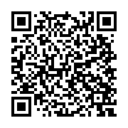 QR code for plate TNZ 743