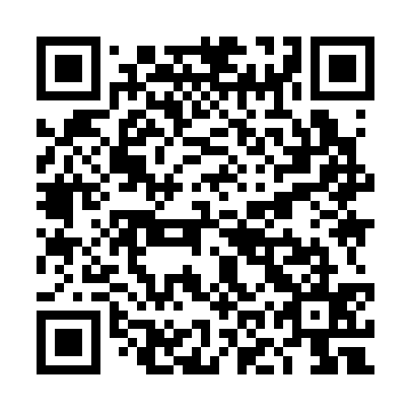 QR code for TOY 335