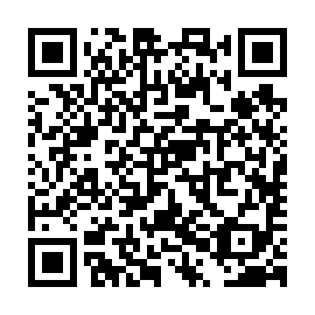 QR code for plate TPB 699
