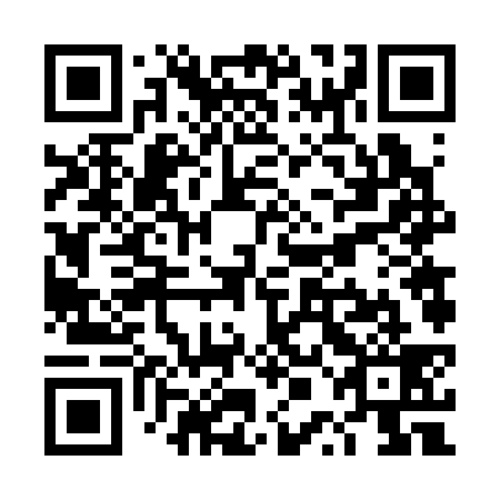 QR code for TPF 339