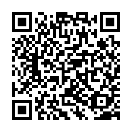 QR code for TPG 389