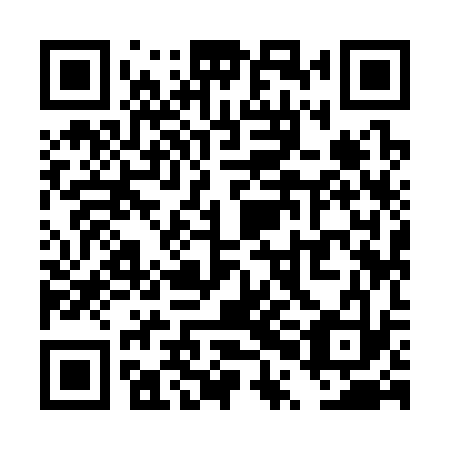 QR code for TPI333