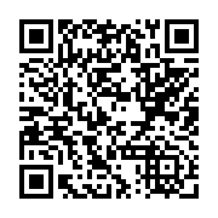 QR code for TPI653