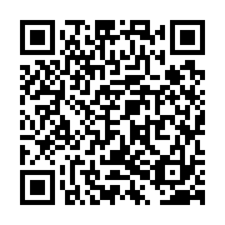 QR code for TPK 733