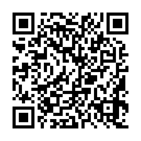 QR code for plate TPM 878