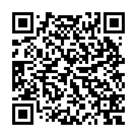 QR code for TPS 228