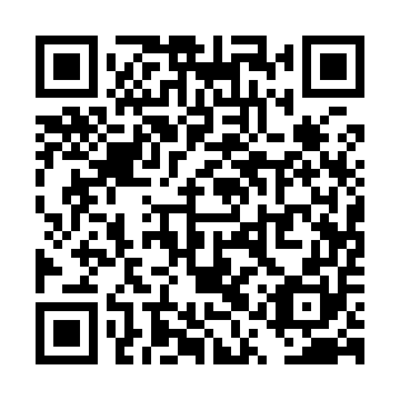 QR code for TQQ 950