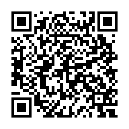 QR code for plate TRP 313