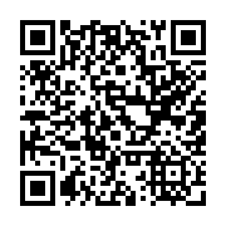 QR code for TRU 339