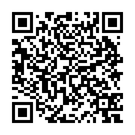 QR code for TRY 234