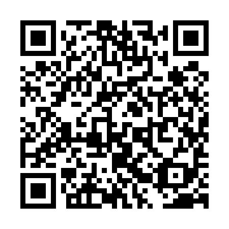 QR code for plate TRY 599