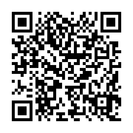 QR code for plate TRY 787