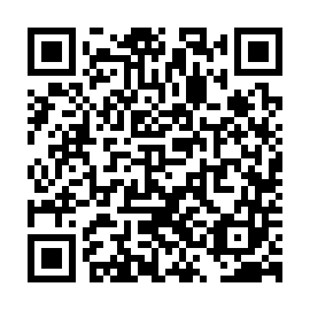 QR code for plate TSF 343