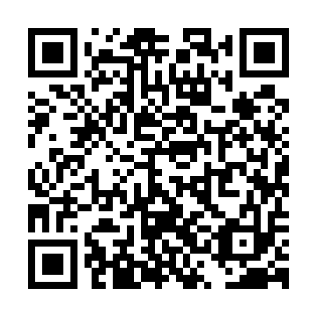 QR code for plate TSI 513