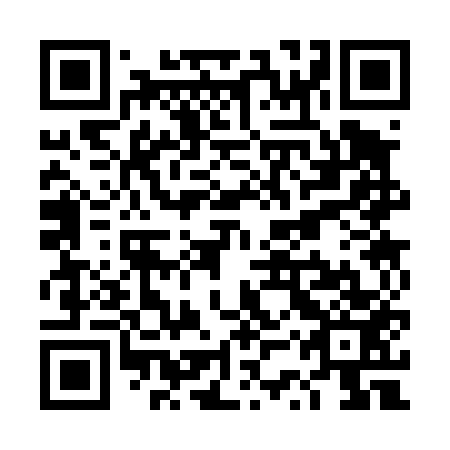 QR code for plate TSS 453