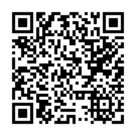 QR code for TSW 336