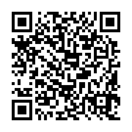 QR code for plate TTM 387