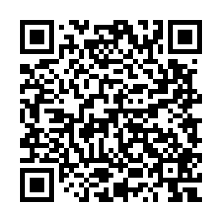 QR code for TUD 509