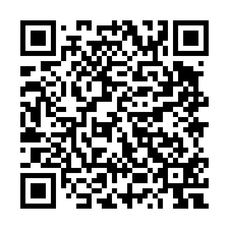 QR code for TUI 411