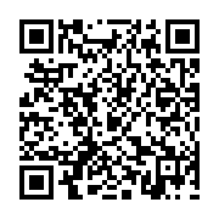 QR code for TUM 381