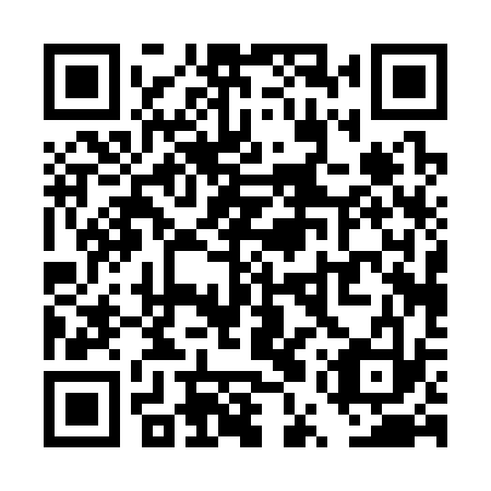 QR code for TUP 333