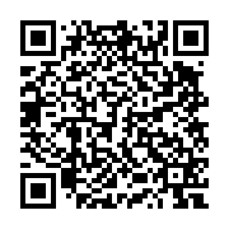 QR code for TUR 461