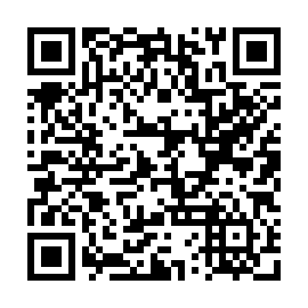 QR code for TVL 384