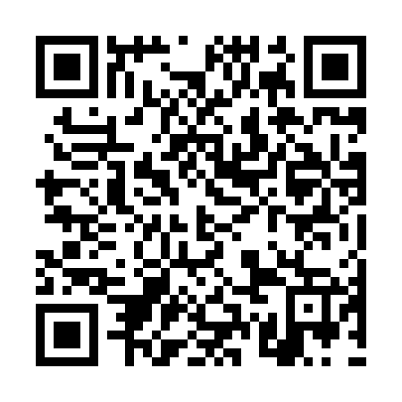 QR code for plate TWN 867