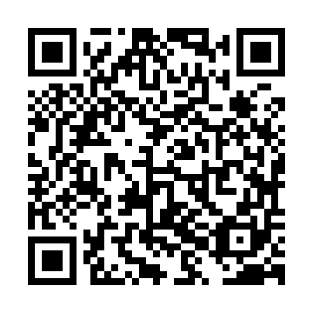 QR code for plate TXJ 950