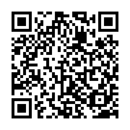 QR code for plate TXM 290