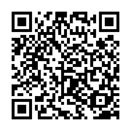 QR code for plate TXM 548