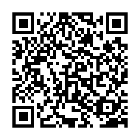 QR code for TXO 729
