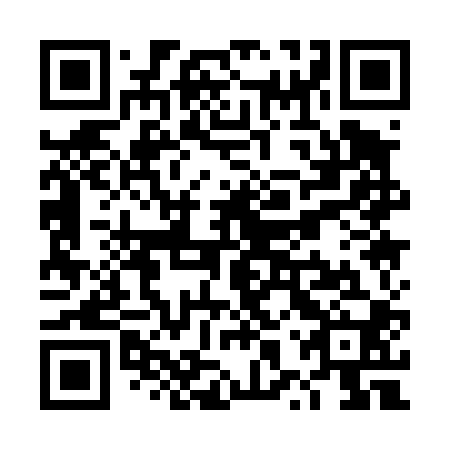 QR code for plate TXQ 400