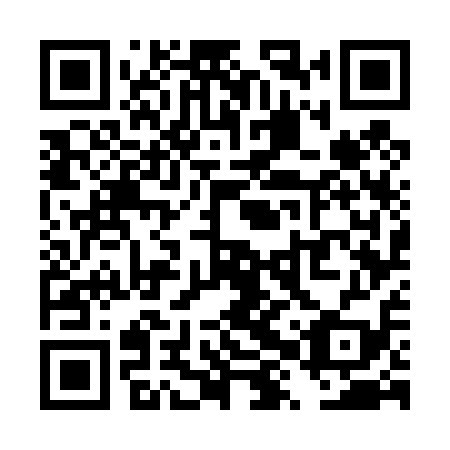 QR code for plate TXW 419